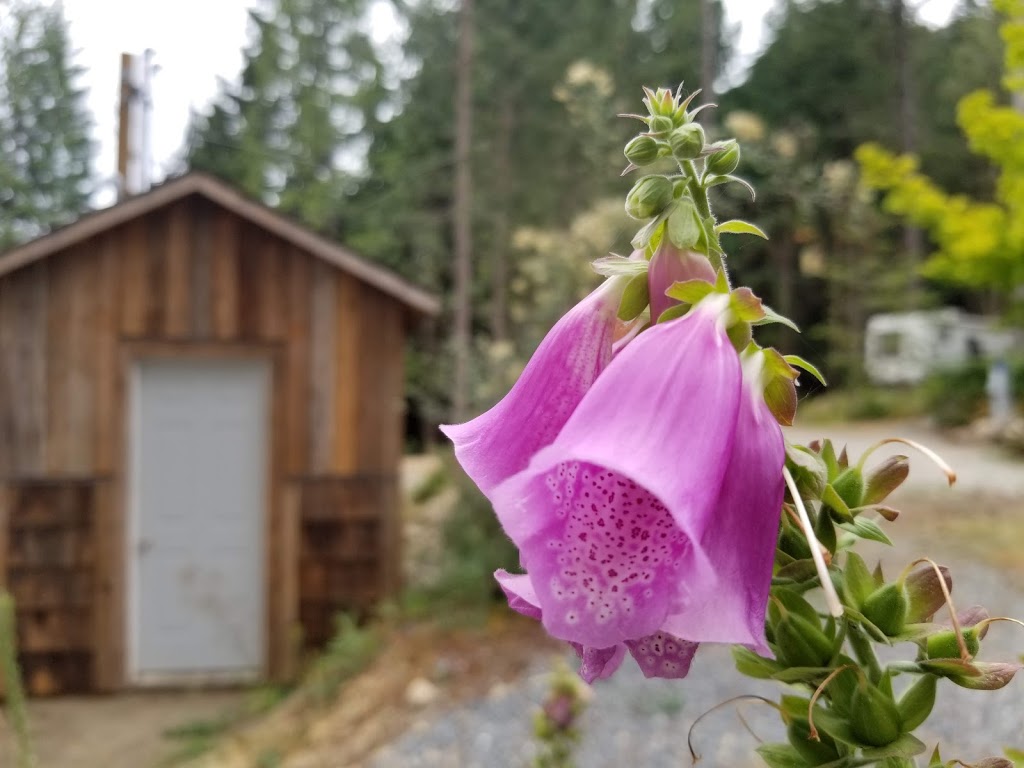 Tunnel Hill Campground And RV Park | 3932 Trans-Canada Hwy, Malahat, BC V0R 2L0, Canada | Phone: (778) 432-2858