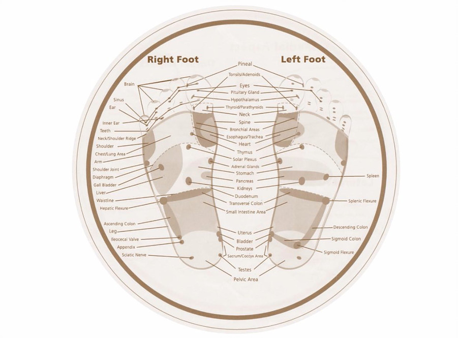 Fern Van Herk Reflexology | 5088 52 Line, Brunner, ON N0K 1C0, Canada | Phone: (519) 595-4863