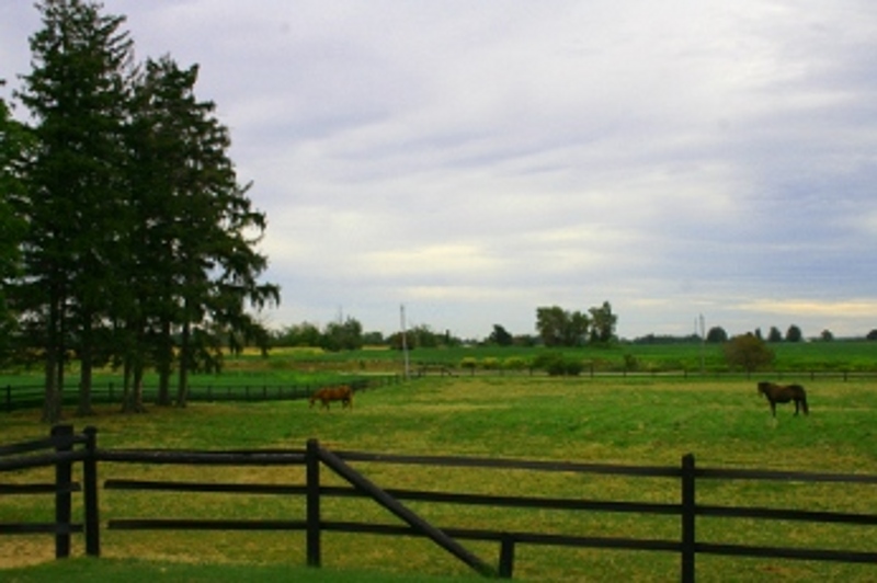 Briar Quest Farm | 5225 Westdel Bourne, London, ON N6P 1P3, Canada | Phone: (519) 660-9750