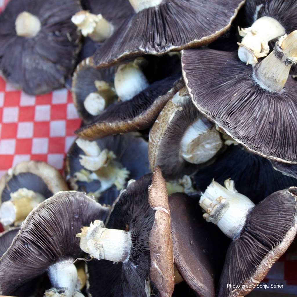 Kimberley Farmers Market | Kimberley, BC V1A 2G6, Canada | Phone: (250) 427-2535