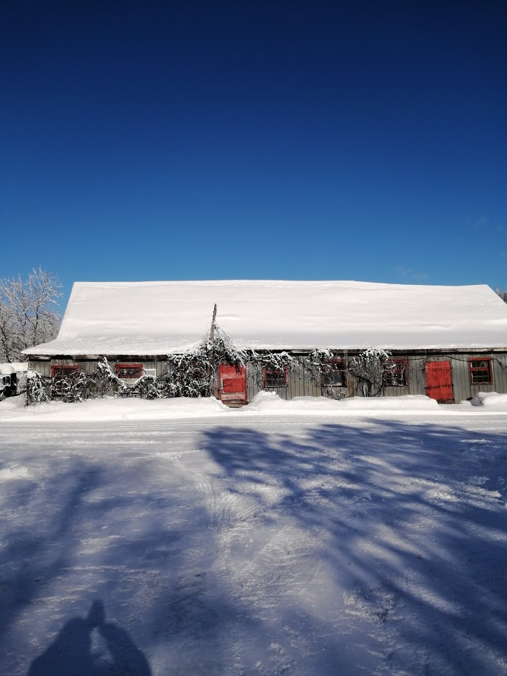 Paul-Émile Lecavalier | 279 Rue Principale, Laval, QC H7X 3T3, Canada | Phone: (438) 524-2449