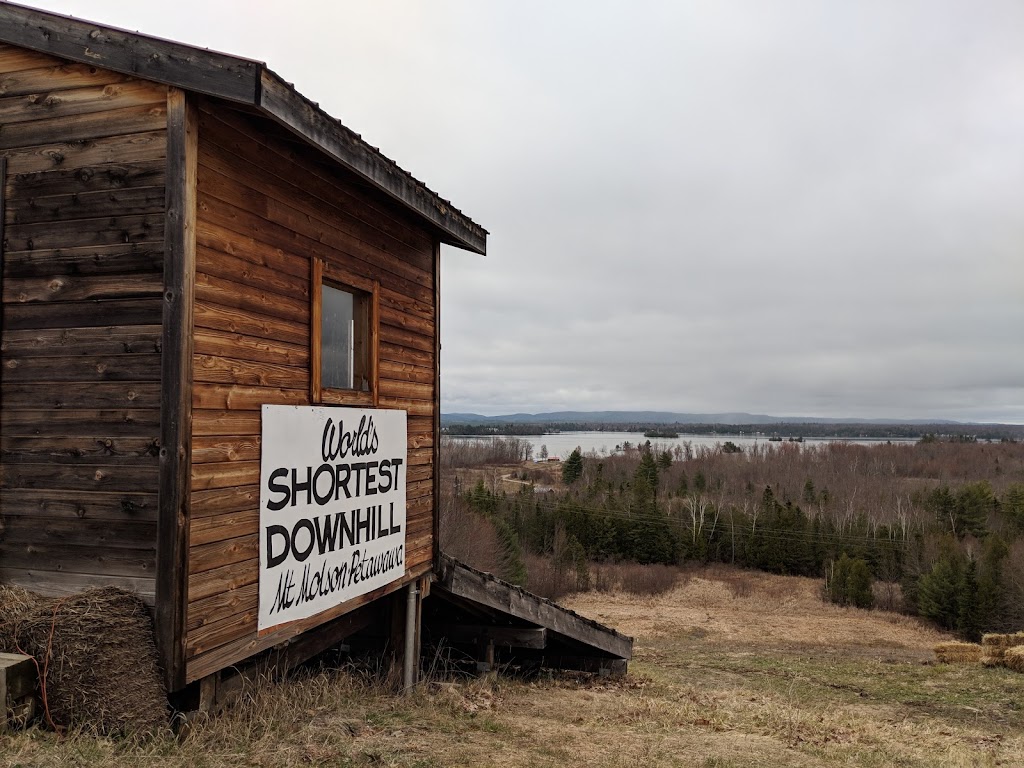 Petawawa Ski Club (Mount Molson) | 536 Laurentian Dr, Petawawa, ON K8H 2N1, Canada | Phone: (613) 687-8085