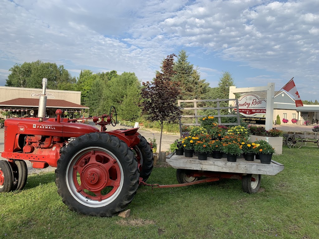 Country Rose Flowers & Garden | 13513 ON-118, Haliburton, ON K0M 1S0, Canada | Phone: (705) 457-3774