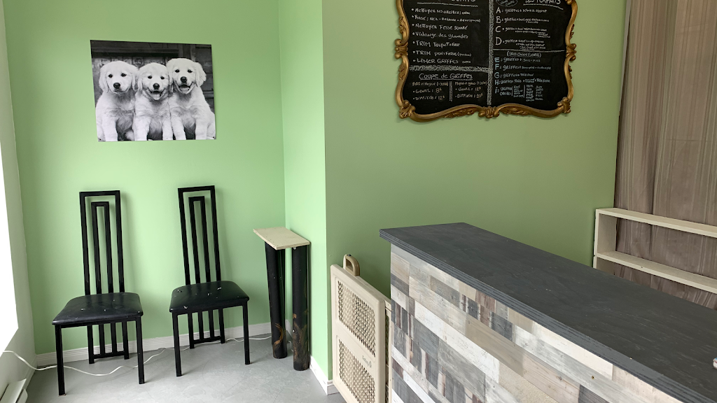 Toilettage chez Shantal | 910 Bd Saint-Jean-Baptiste, Mercier, QC J6R 2K8, Canada | Phone: (514) 424-8230