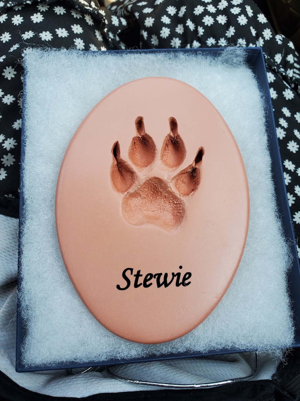 Aurora Animal Clinic | 263 Edward St, Aurora, ON L4G 3M7, Canada | Phone: (905) 727-9449