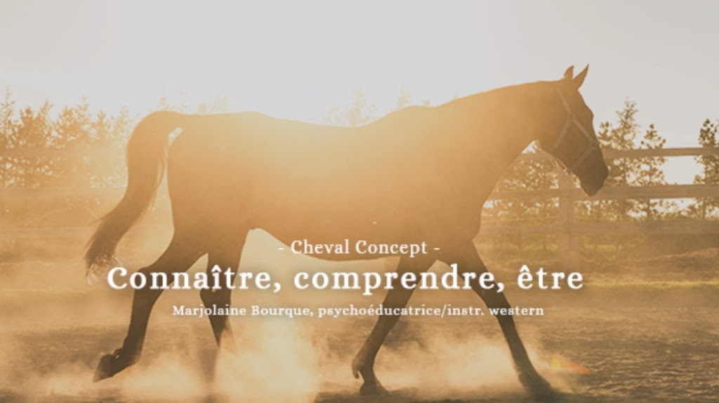 Cheval Concept | 149 Rue Laforest, Saint-Prime, QC G8J 1M5, Canada | Phone: (418) 900-1078