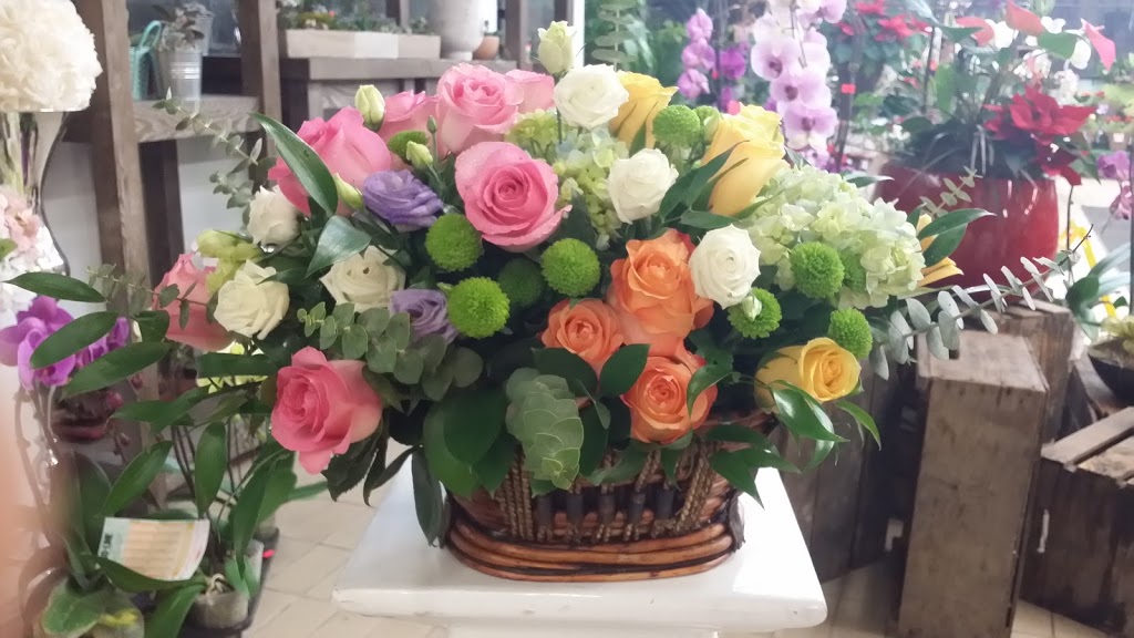 Tom’s Florist | florist | 524 Eglinton Ave W, Toronto, ON M5N 2K5, Canada | 6473529188 OR +1 647-352-9188