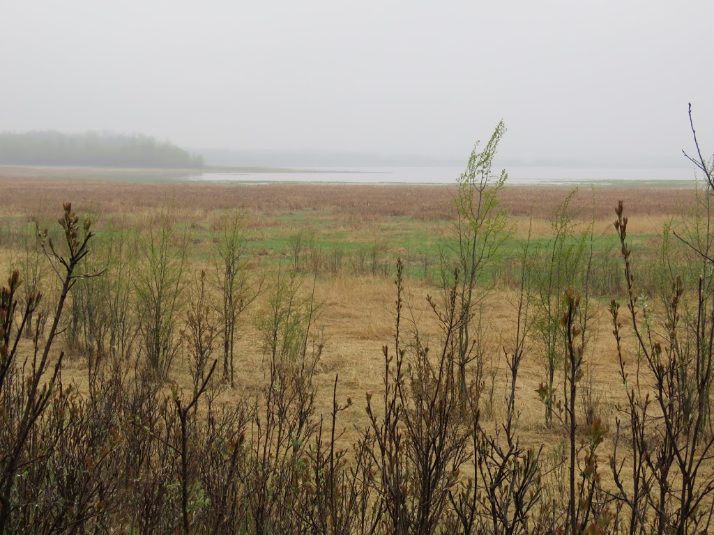 Tawayik Lake Trail | Tawayik Lake Access Rd, Ardrossan, AB T8G 2A6, Canada | Phone: (877) 737-3783