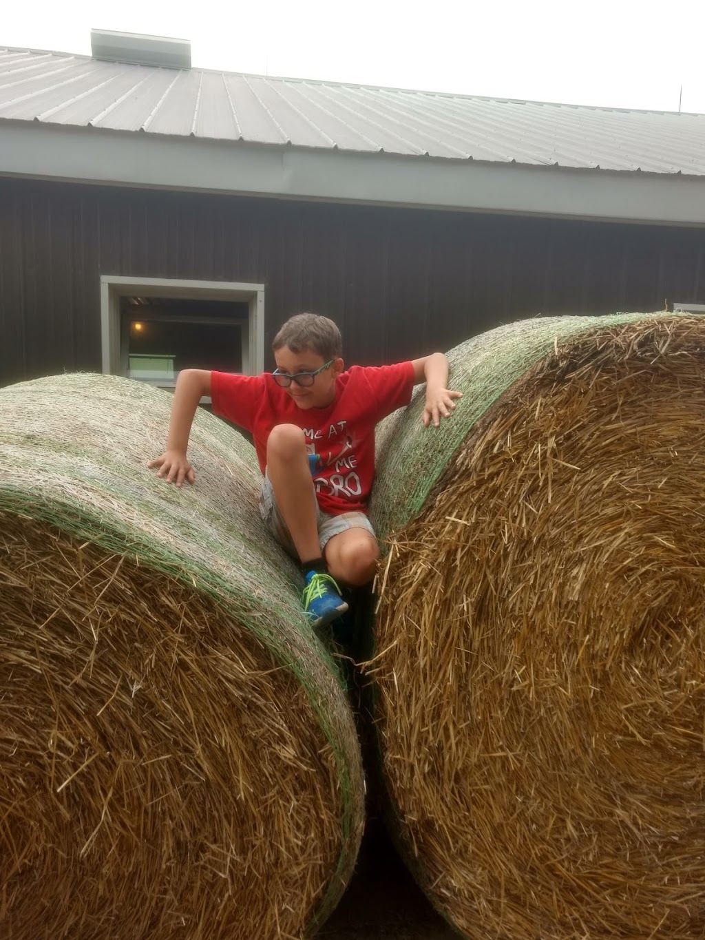 Millers Dairy | 7280 County Rd 9, Creemore, ON L0M 1G0, Canada | Phone: (705) 466-2525