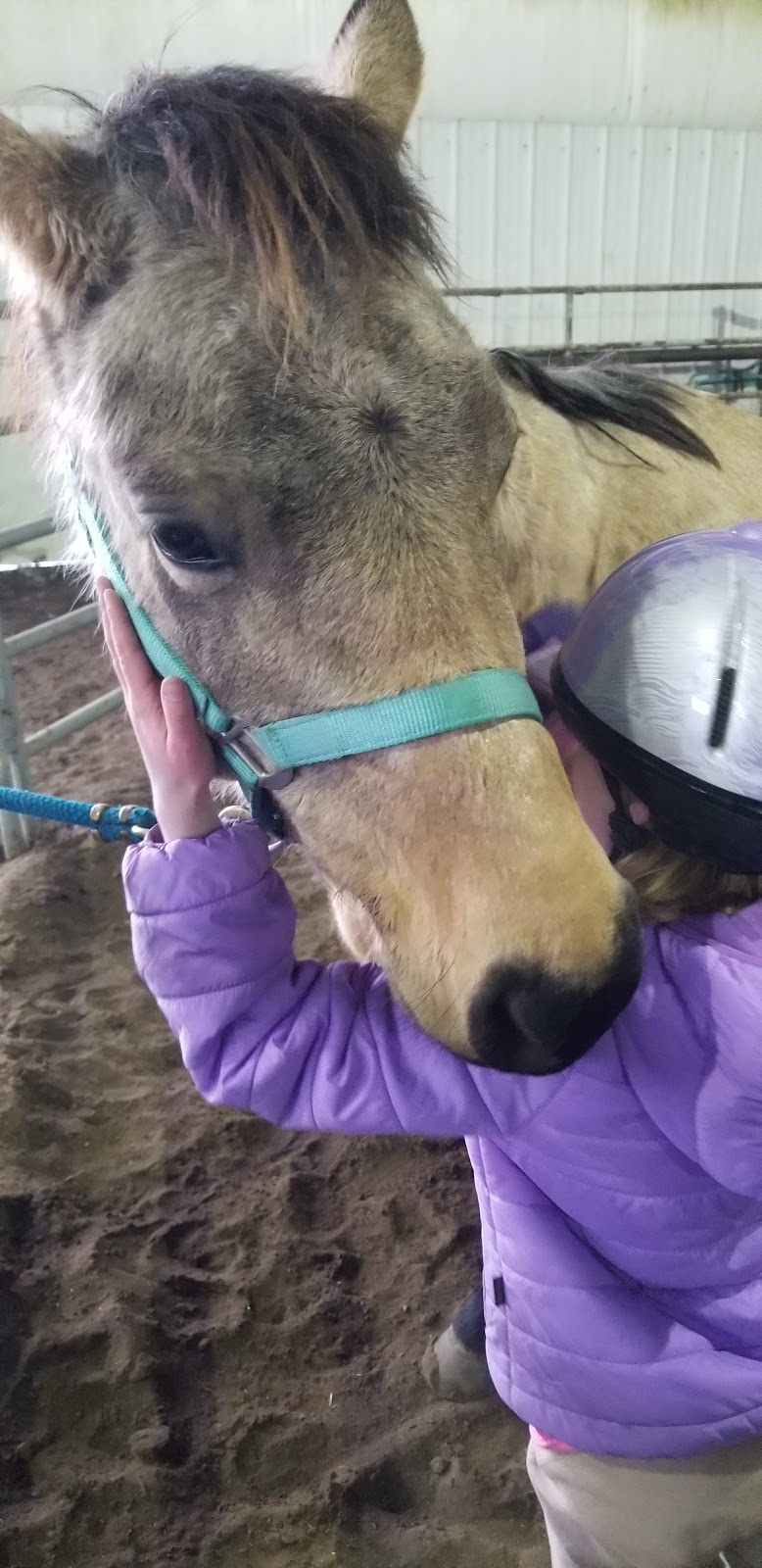 Ulterra Ranches Ltd. | RR 2, Carstairs, AB T0M 0N0, Canada | Phone: (403) 337-5881