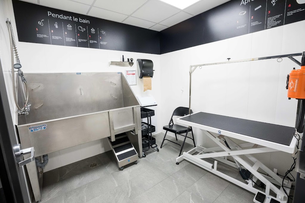 Mondou | 469 QC-273, Saint-Apollinaire, QC G0S 2E0, Canada | Phone: (418) 431-0423