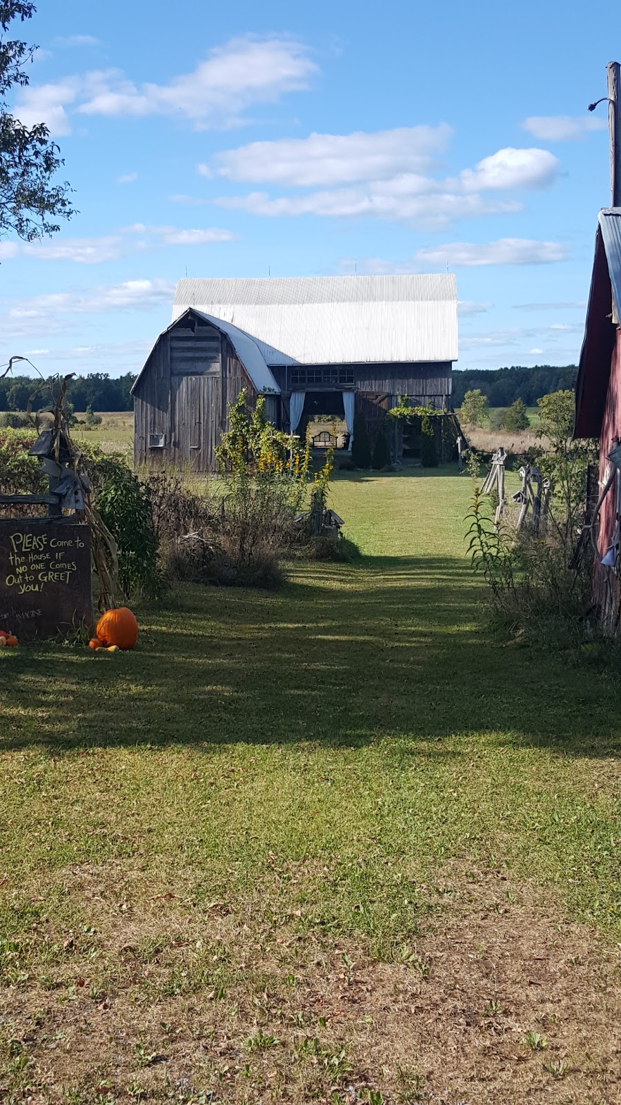 Andrew Csafordi Studio Gallery | 54 Wilson Rd, Bloomfield, ON K0K 1G0, Canada | Phone: (613) 393-1572