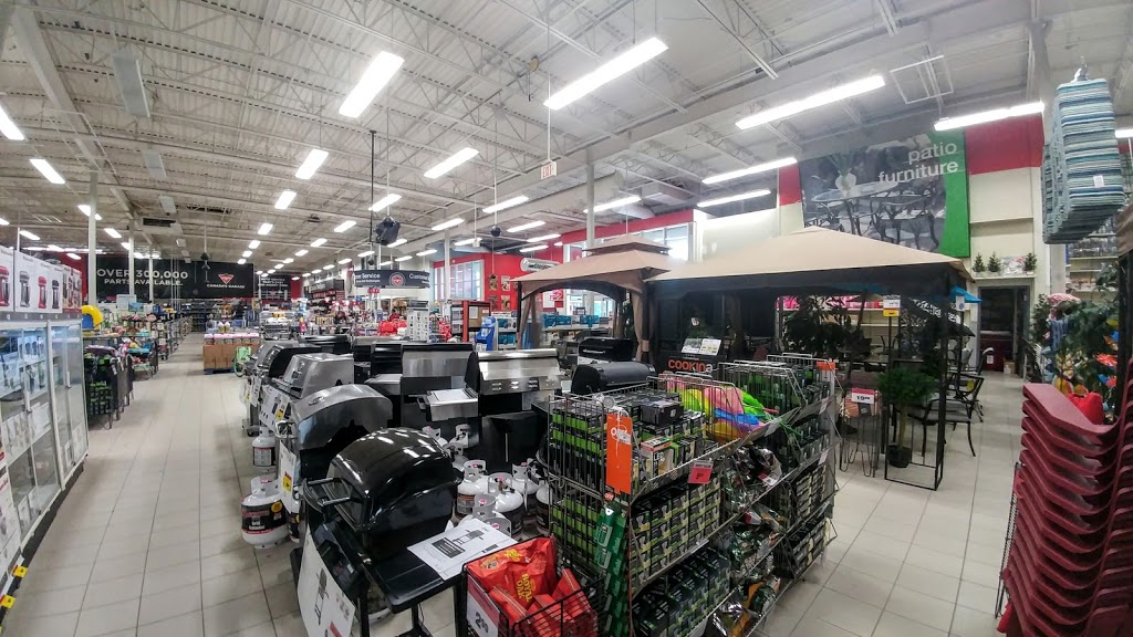 Canadian Tire | 465 Norwich Ave, Woodstock, ON N4S 3W5, Canada | Phone: (519) 539-1201