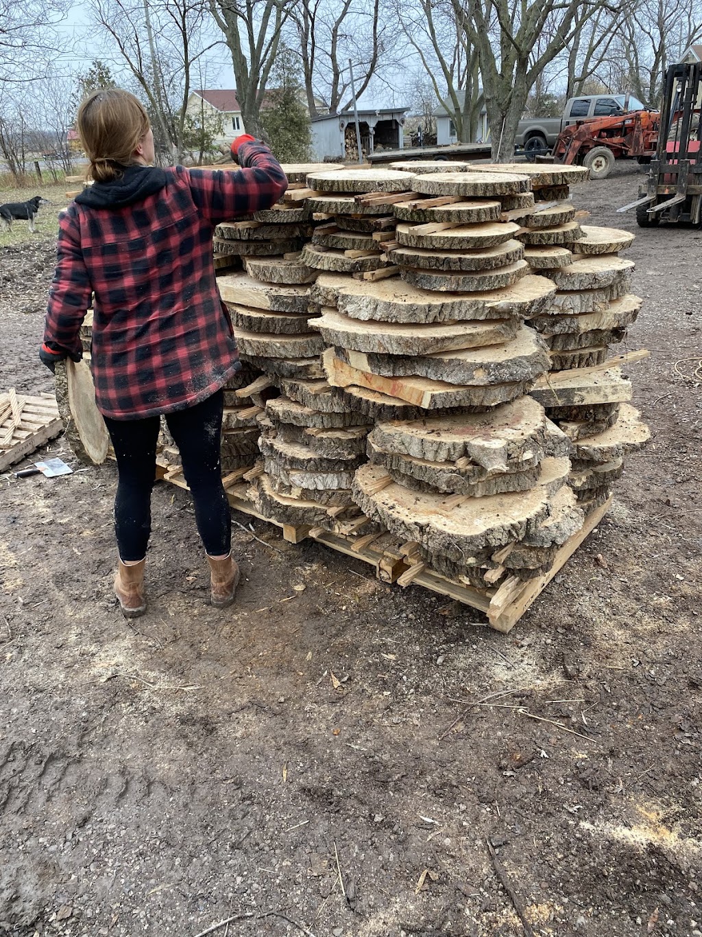 Dry Lake Sawmill and Woodworks | 375 Concession 8 Rd, Cayuga, ON N0A 1E0, Canada | Phone: (905) 317-8124