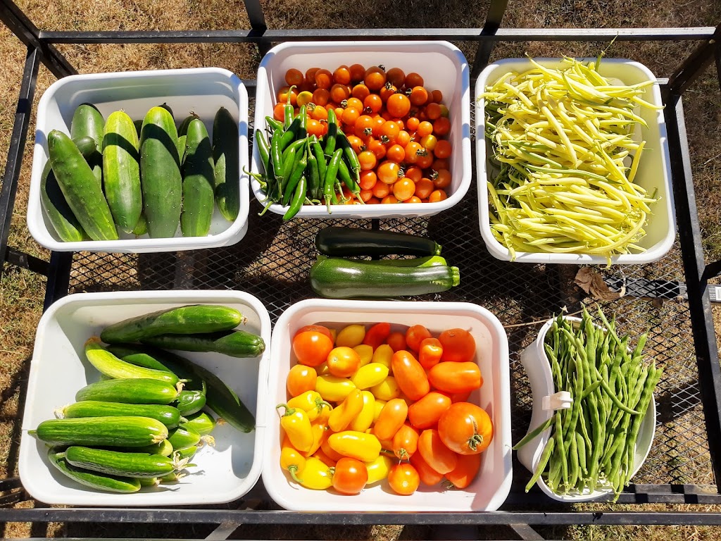 Sea Dog Farm | 1742 Hovey Rd, Saanichton, BC V8M 1S7, Canada | Phone: (250) 380-2899
