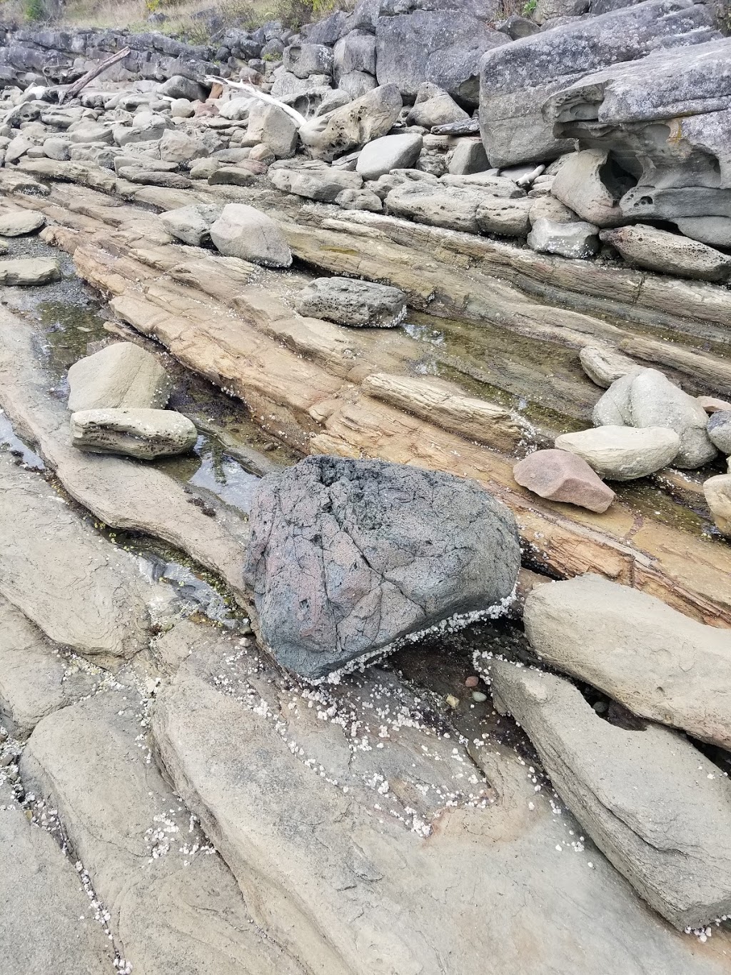 Shore Access 38 | Galiano Island, BC V0N 1P0, Canada