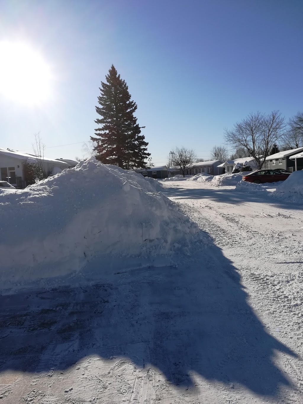 Pelouse et Jardin Express | 122 Rue St Onge, Salaberry-de-Valleyfield, QC J6S 2W8, Canada | Phone: (450) 373-5606