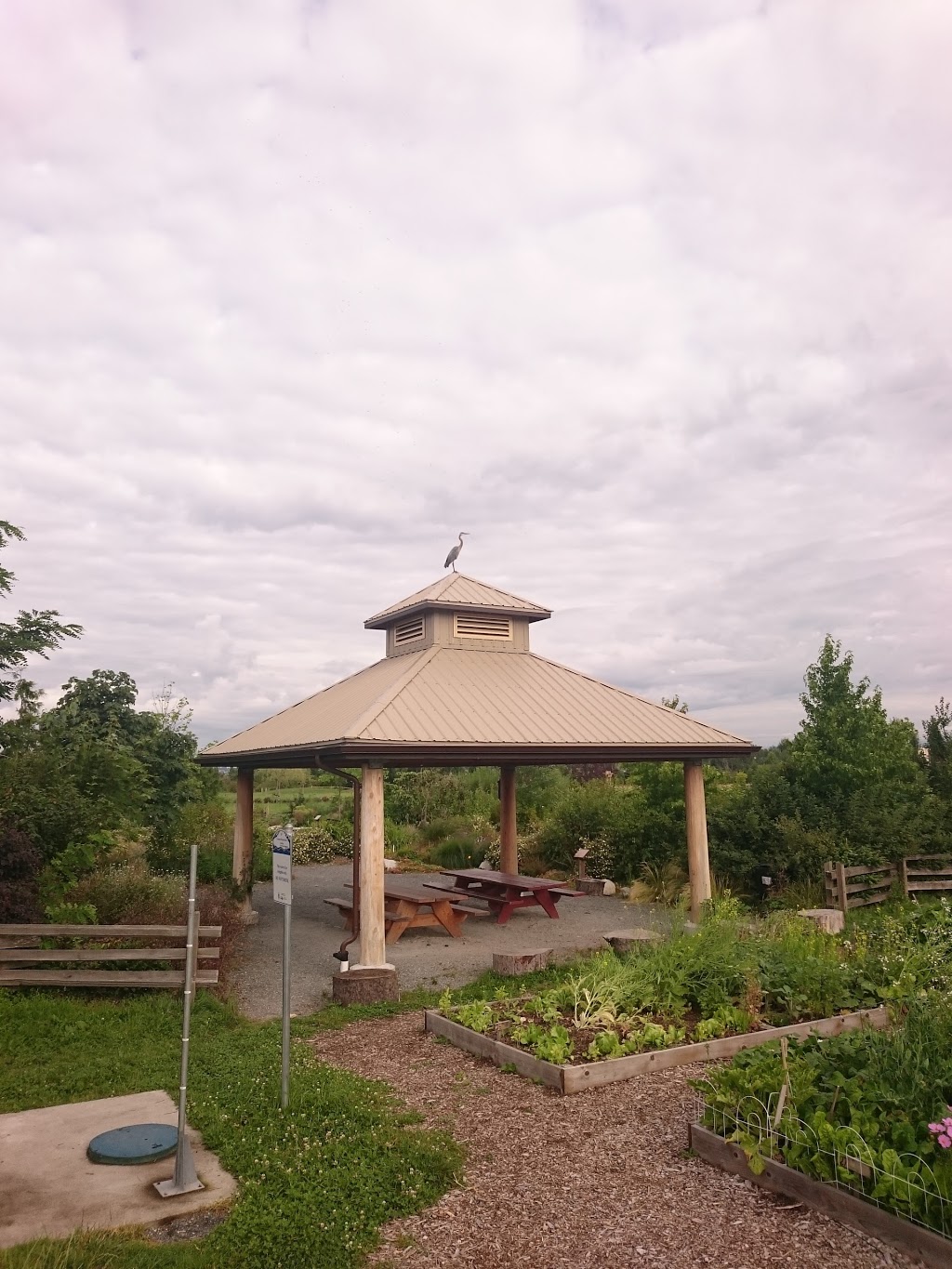 Langley Demonstration Garden | Fraser Hwy, Langley Twp, BC V3A, Canada | Phone: (604) 546-0344