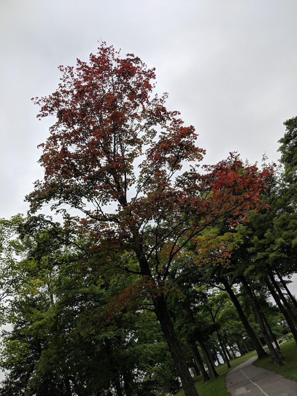 Tudhope Park | Orillia, ON, Canada