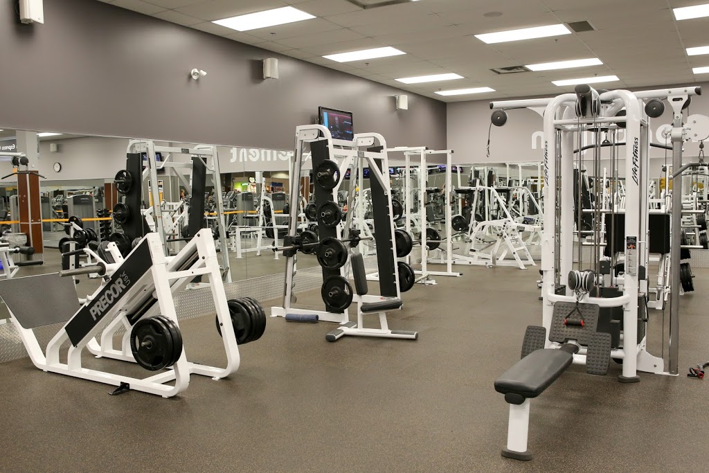 Fit4Less | 417 Wellington St Unit 32, St Thomas, ON N5R 5J5, Canada | Phone: (519) 631-1501