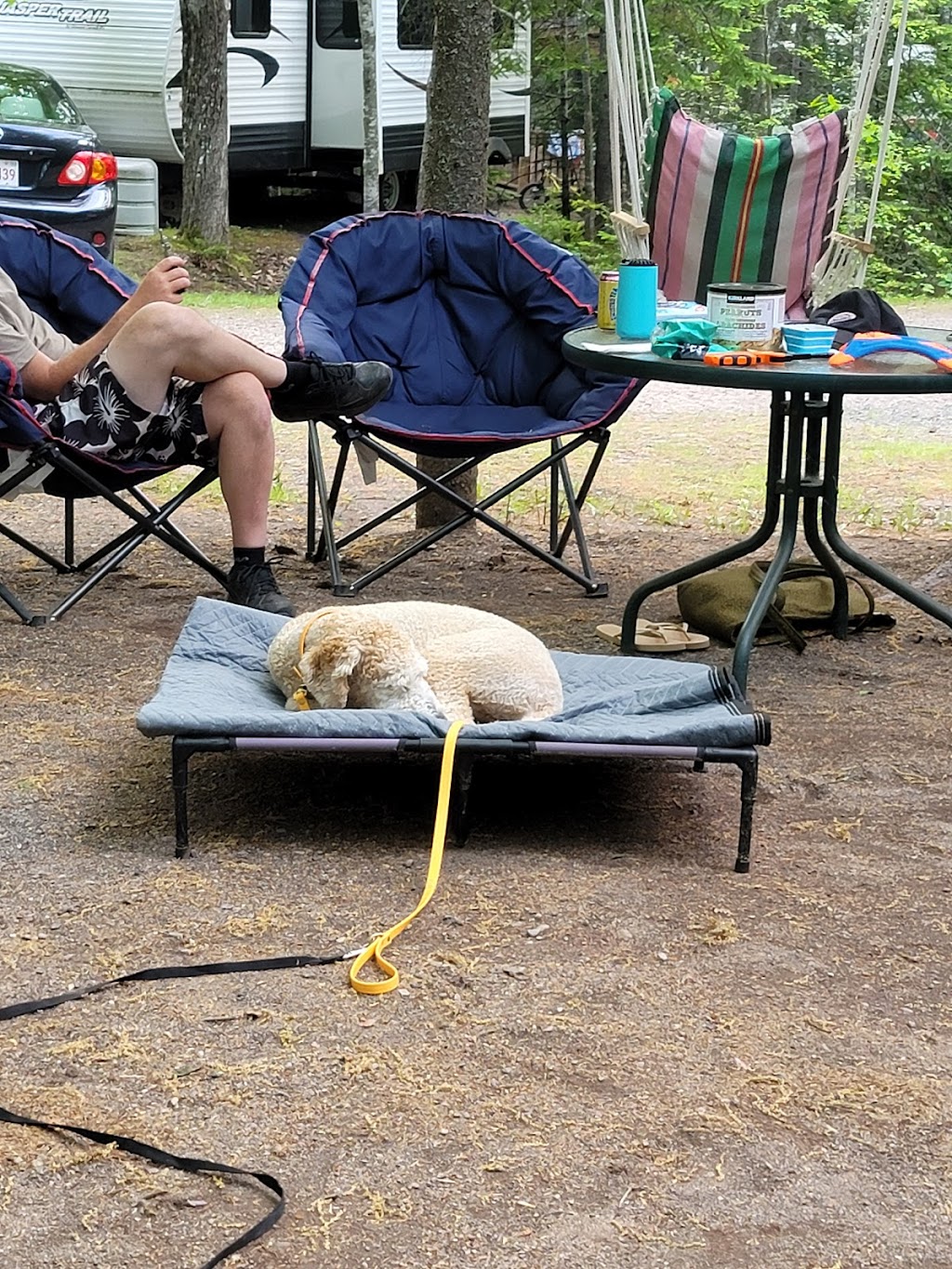 Lakeside Campground | 5913 NB-105, Mill Cove, NB E4C 3B2, Canada | Phone: (506) 488-2321