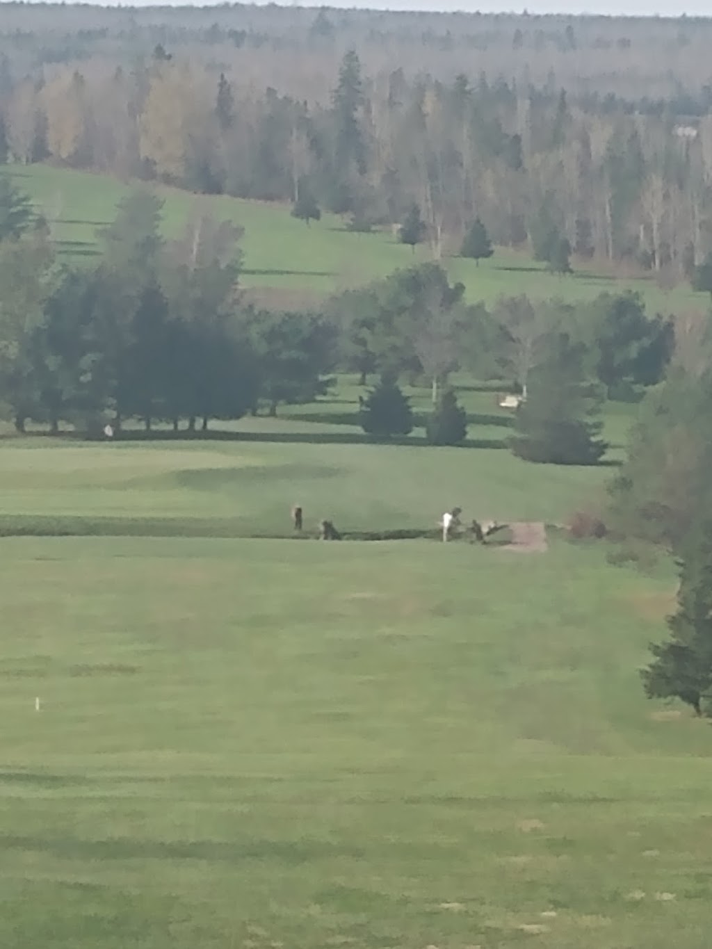 Brookfield Golf & Country Club | 785 Nova Scotia Trunk 2, Brookfield, NS B0N 1C0, Canada | Phone: (902) 673-3352