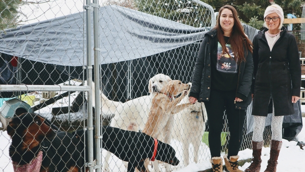The Big Dog House | 4571 County Rd 2, Port Hope, ON L1A 3V5, Canada | Phone: (905) 269-6697