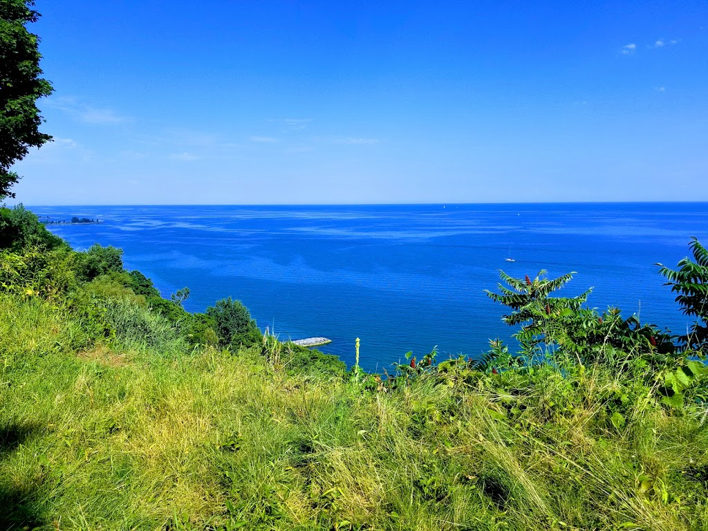 Rosetta McClain Gardens | 5 Glen Everest Rd, Scarborough, ON M1N 1J2, Canada | Phone: (416) 392-8188
