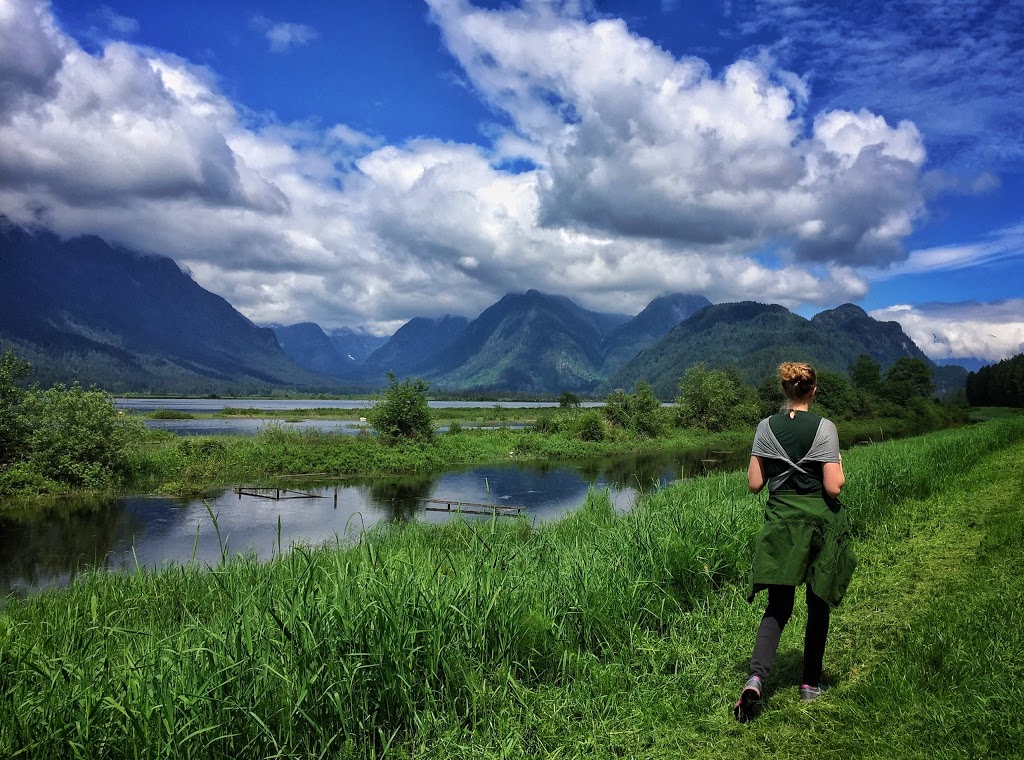 Pitt-Addington Marsh | Pitt Meadows, BC V3Y 1Z1, Canada