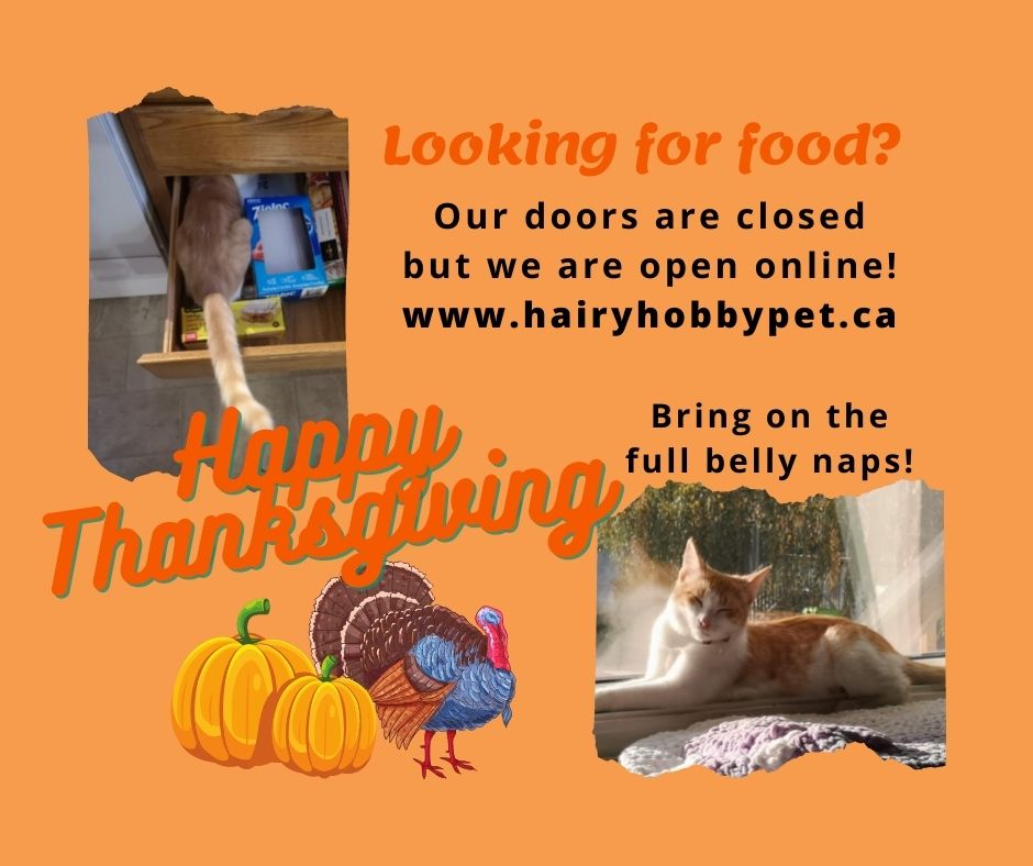 Hairys Pet Supply | 916 Marriott Close, Rosetown, SK S0L 2V0, Canada | Phone: (306) 831-8297