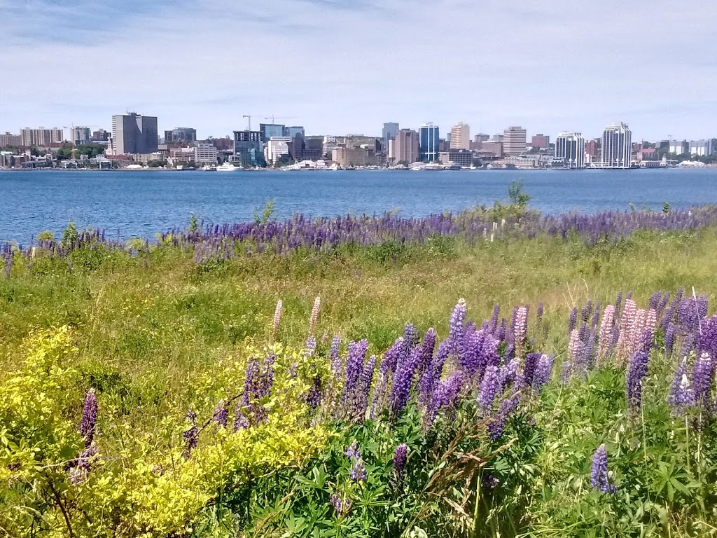 Woodside Area Regional Park | 16 Oceanview Dr, Dartmouth, NS B2Y 3S3, Canada
