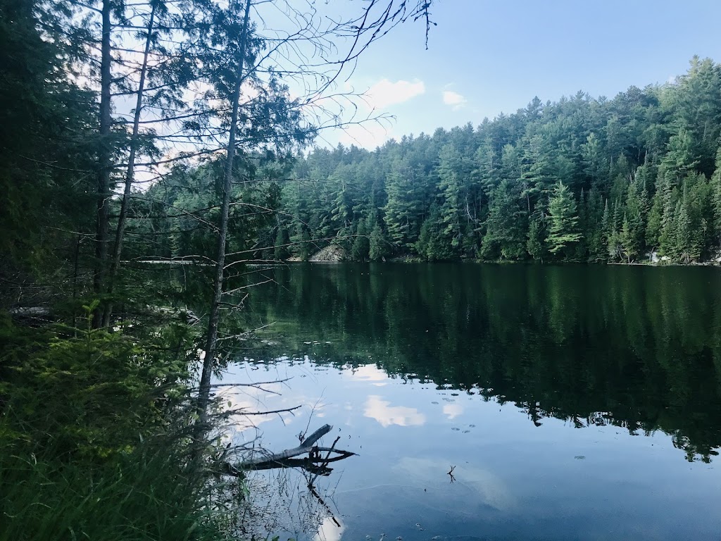 The Cabin | 31133 Hwy 41, Eganville, ON K0J 1T0, Canada | Phone: (905) 432-5666
