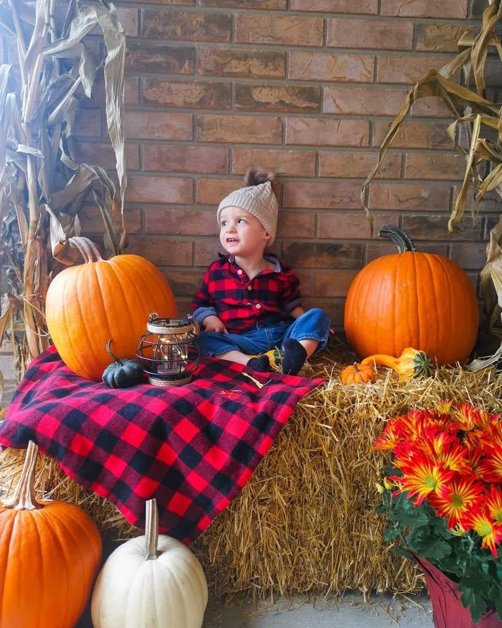 Adel Farms | 4168 Tecumseh Line, Tilbury, ON N0P 2L0, Canada | Phone: (519) 360-6675