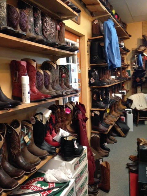 The Horse Habit | 323418 East Linton Side Rd W, Kemble, ON N0H 1S0, Canada | Phone: (519) 371-4239