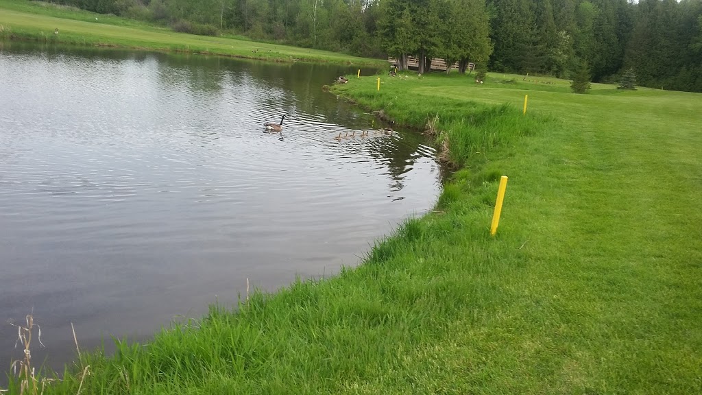 Shawneeki Golf Club | 18543 Woodbine Ave, Sharon, ON L0G 1V0, Canada | Phone: (905) 478-4211