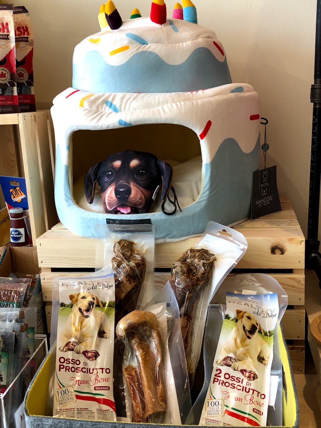 DogStar⭐️pet boutique&grooming spa | CA, 292 Eglinton Ave W, Toronto, ON M4R 1B2, Canada | Phone: (647) 797-2248