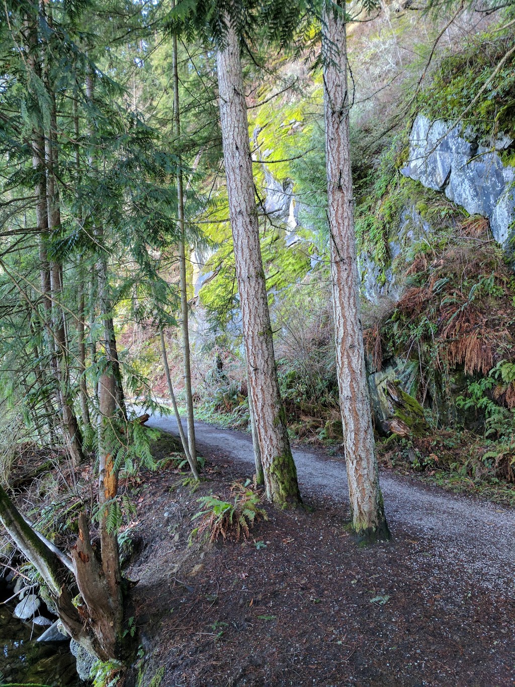 Euclid Park | 1650 Euclid Ave, Bellingham, WA 98229, USA | Phone: (360) 778-7000