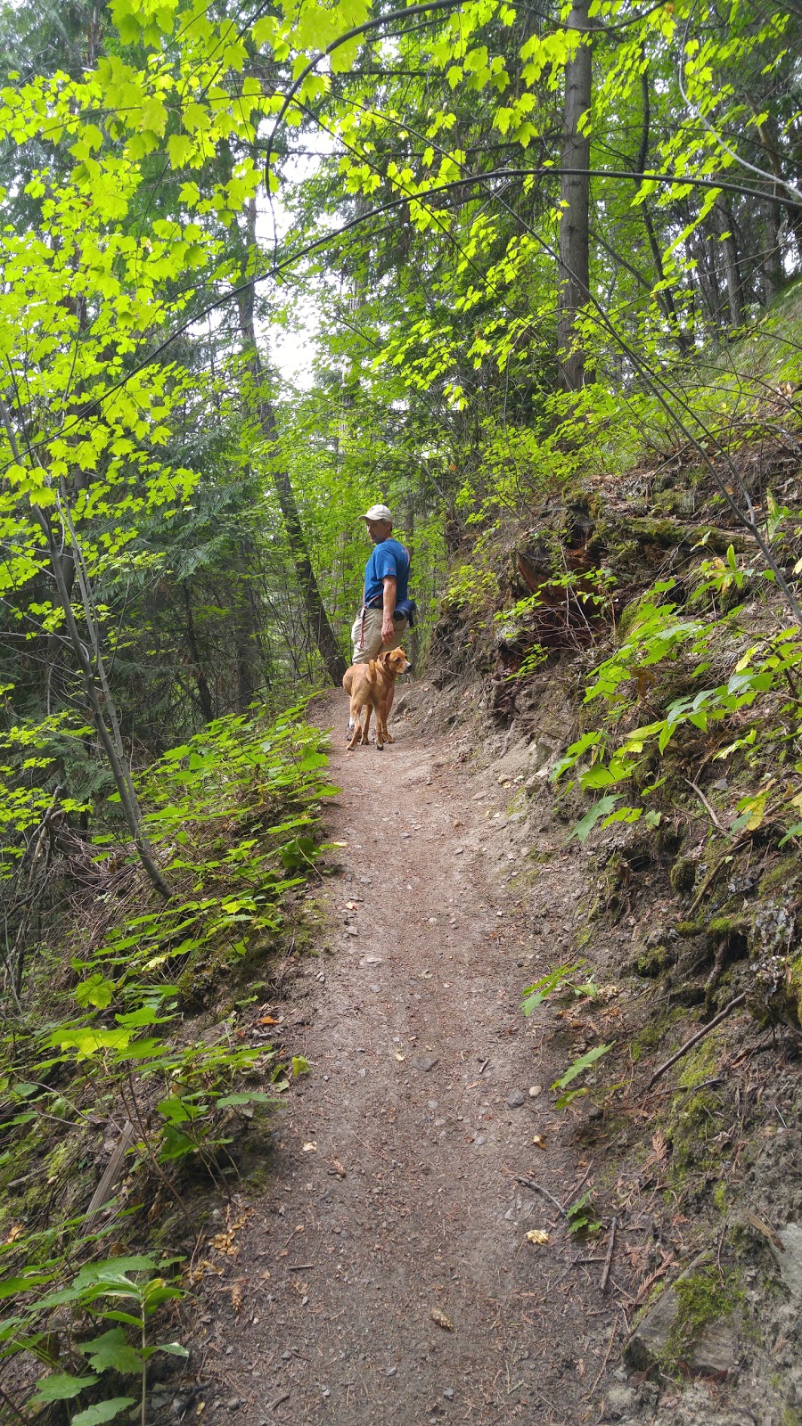 Angel Springs Trailhead | Kelowna, BC V0H 1N0, Canada
