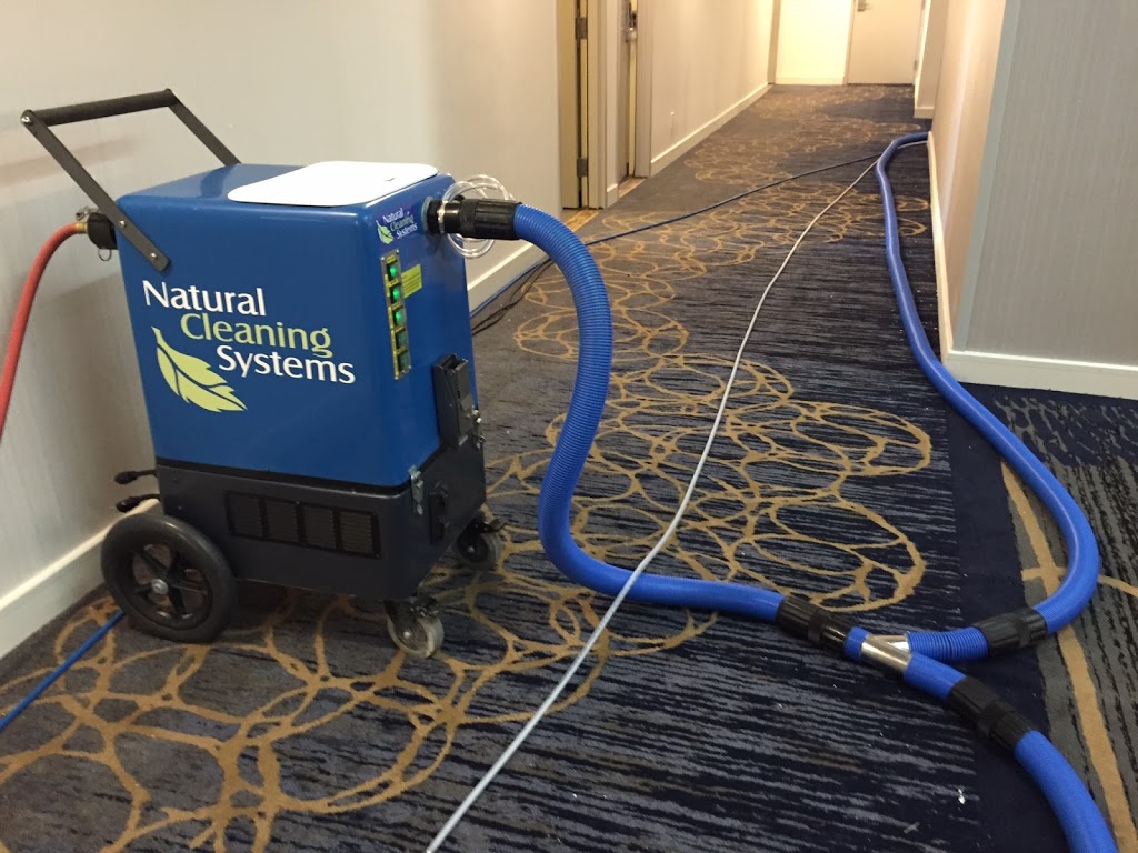 Natural Cleaning Systems | 70 Sunnyside Dr #26, London, ON N5X 3W4, Canada | Phone: (519) 679-8616