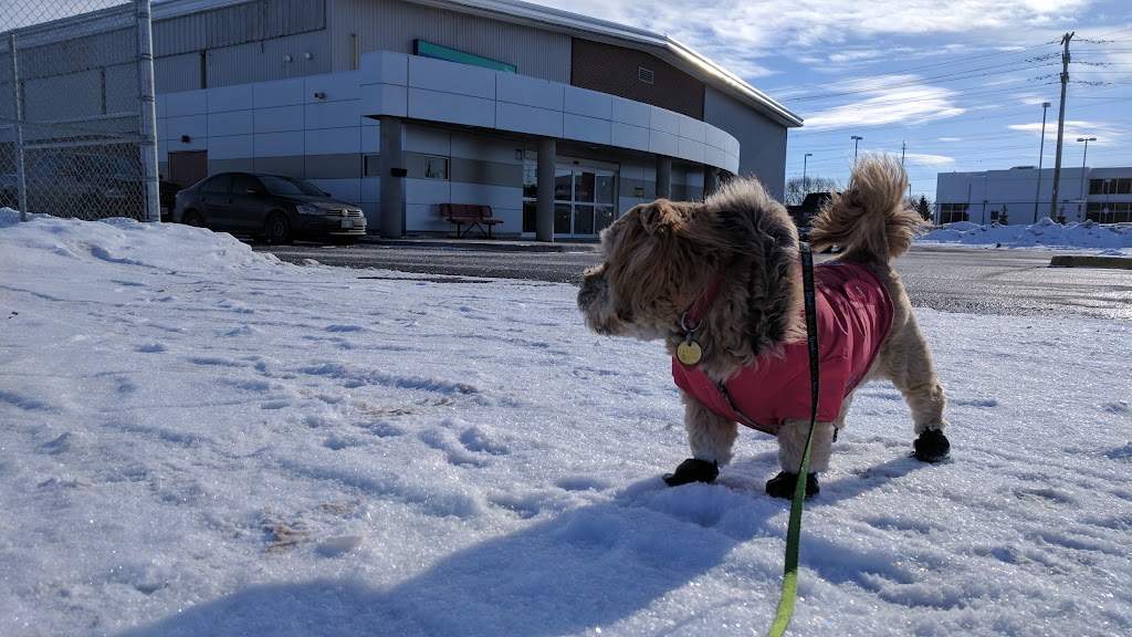 Howard Darwin Centennial Arena | 1765 Merivale Rd, Nepean, ON K2G 1E1, Canada | Phone: (613) 224-3168