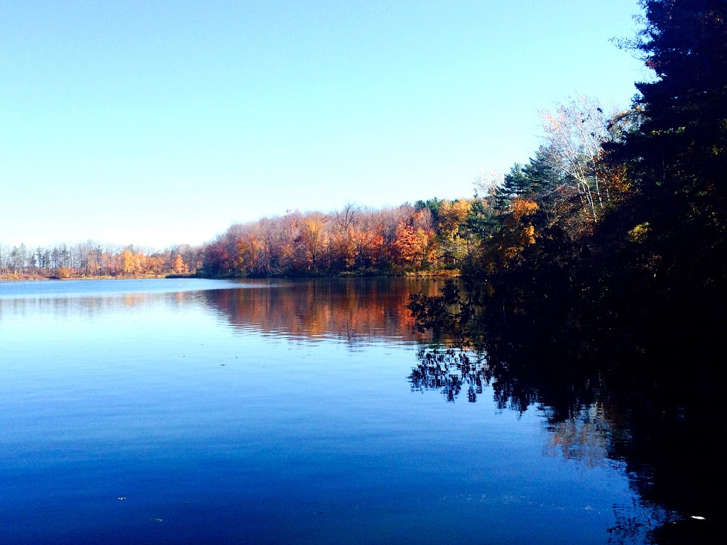 Ausable Bayfield Conservation Authority (ABCA) | 71108 Morrison Line, Exeter, ON N0M 1S5, Canada | Phone: (519) 235-2610