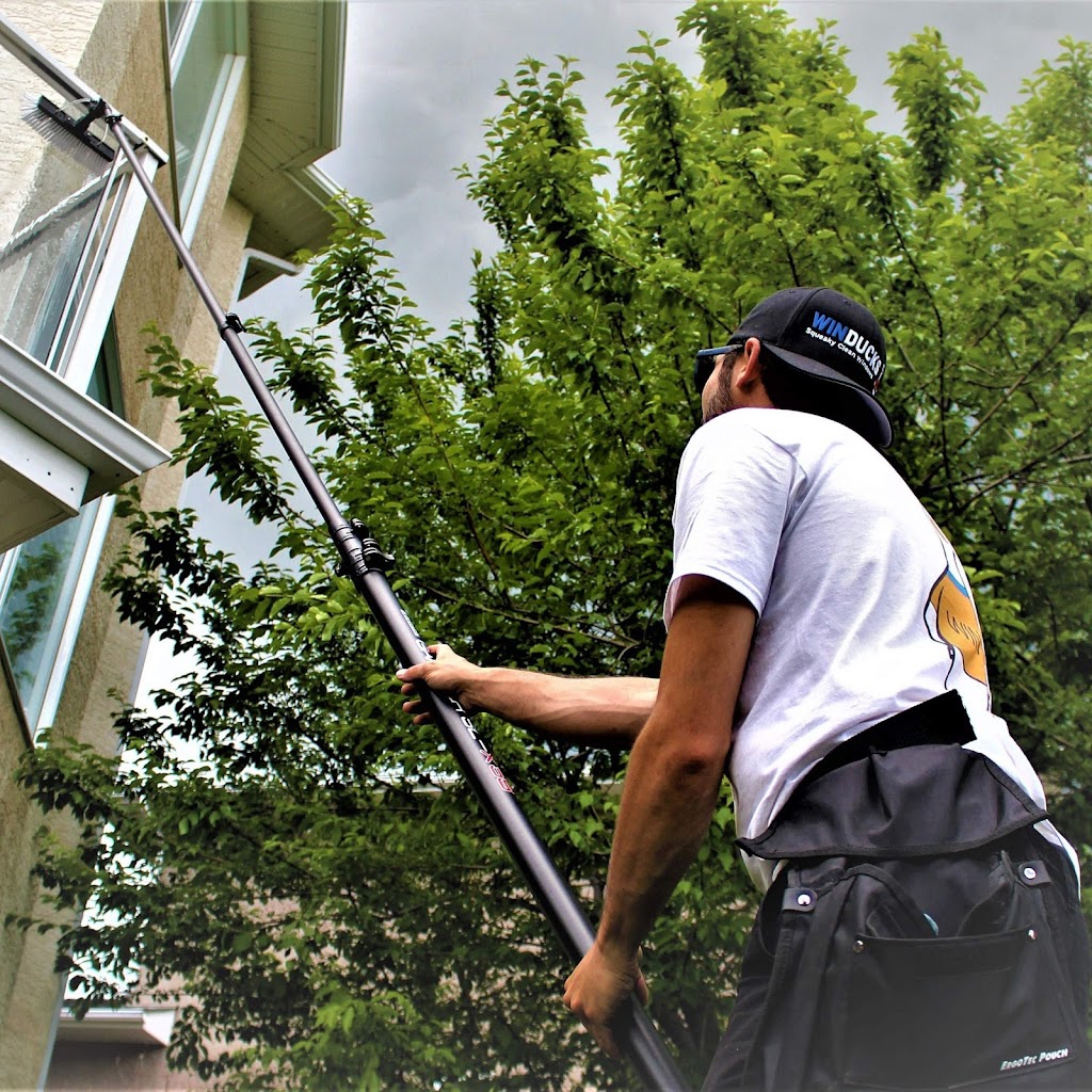 Winducks Gutter & Window Cleaning Cochrane | 430 River Heights Crescent, Cochrane, AB T4C 0T9, Canada | Phone: (587) 572-6425