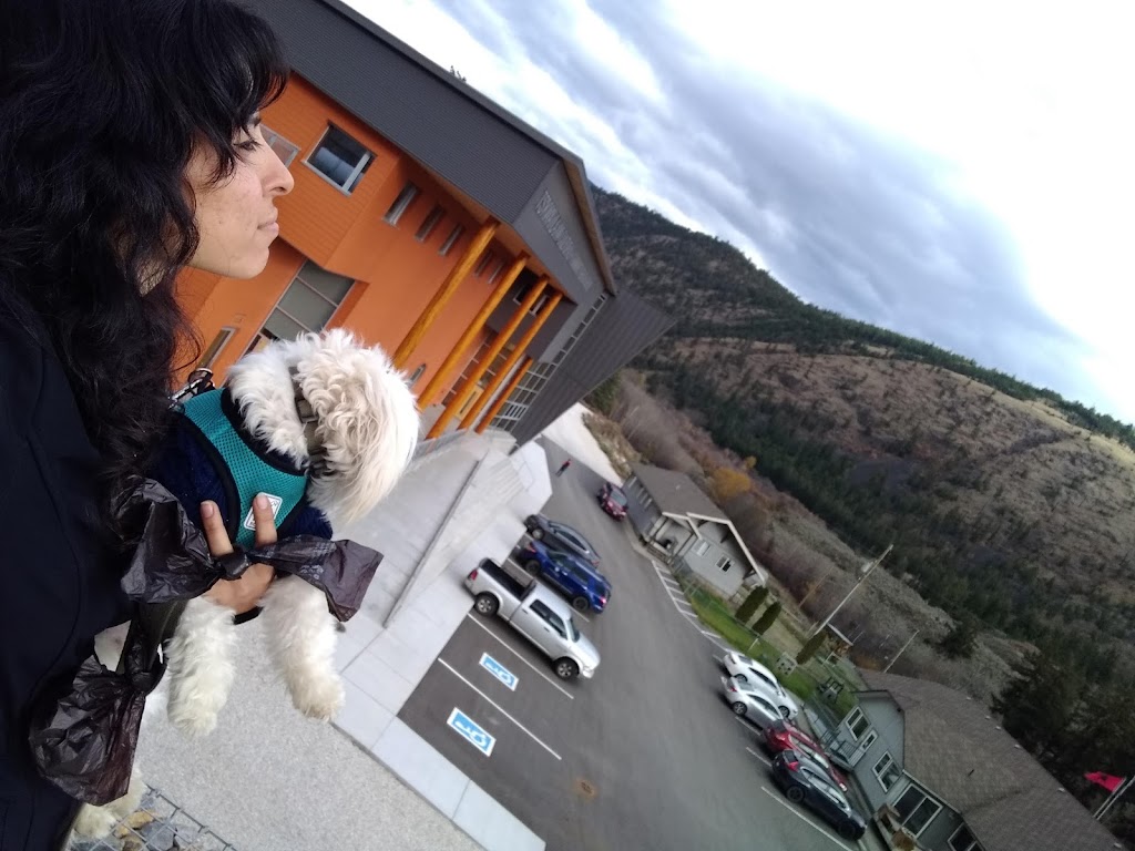 Tskwaylaxw First Nations | 35100 Lill-Cache Ck, Lillooet, BC V0K 1V0, Canada | Phone: (250) 256-4204