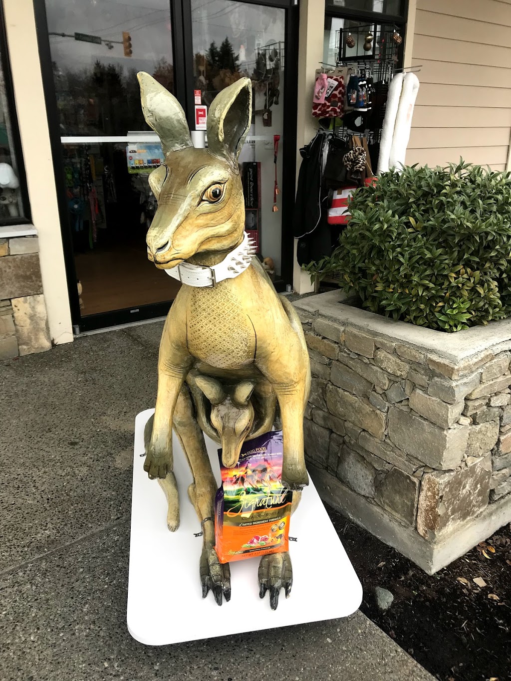 All Pets Food & Supplies | 110-7088 W Saanich Rd, Brentwood Bay, BC V8M 1P9, Canada | Phone: (778) 351-4738