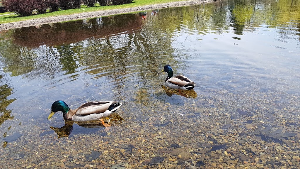 Parc Wilfrid-Bastien | 8255 Boulevard Lacordaire, Saint-Léonard, QC H1R 3B1, Canada | Phone: (514) 872-0311