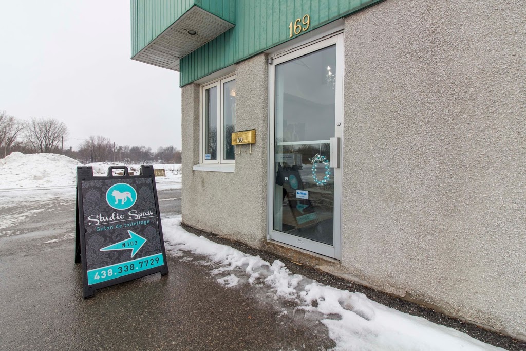 Studio Spaw | 169 Chemin Saint-François-Xavier, Delson, QC J5B 1X7, Canada | Phone: (438) 338-7729