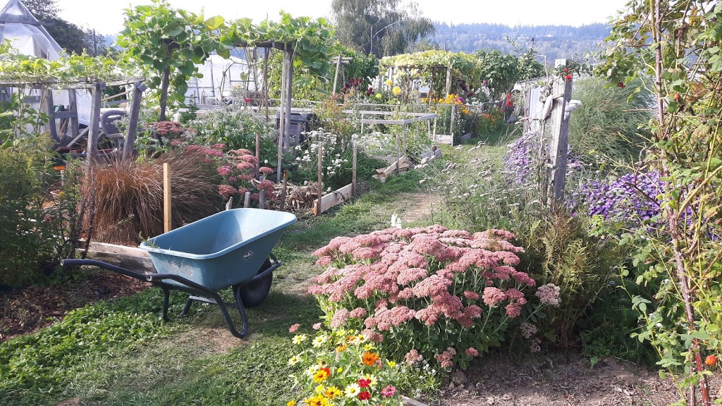 Colony Farm Community Gardens | Coquitlam, BC V3K, Canada