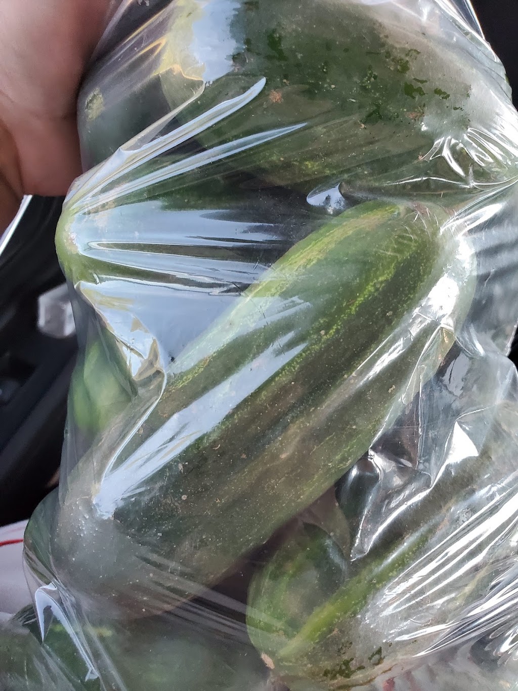Comptons Vegetable Stand | 268 All Weather Hwy, Summerside, PE C1N 4V4, Canada | Phone: (902) 315-2751