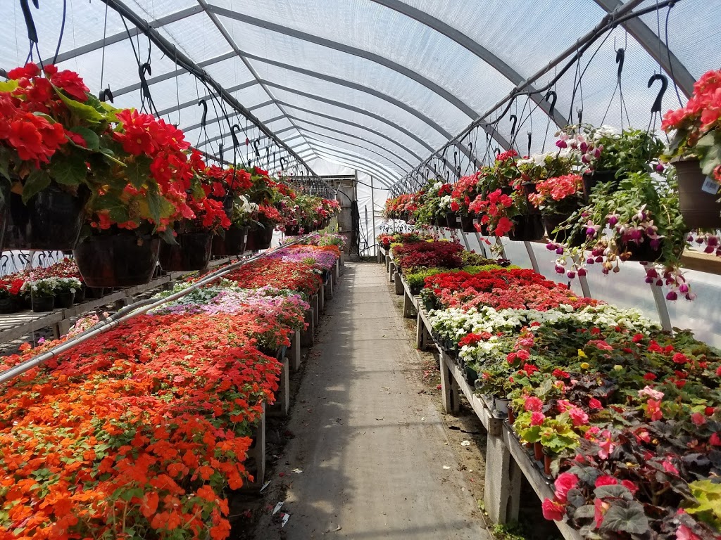 Garrys Garden Gallery | 5 Commerce Rd, Lindsay, ON K9V 5Y3, Canada | Phone: (705) 324-9574