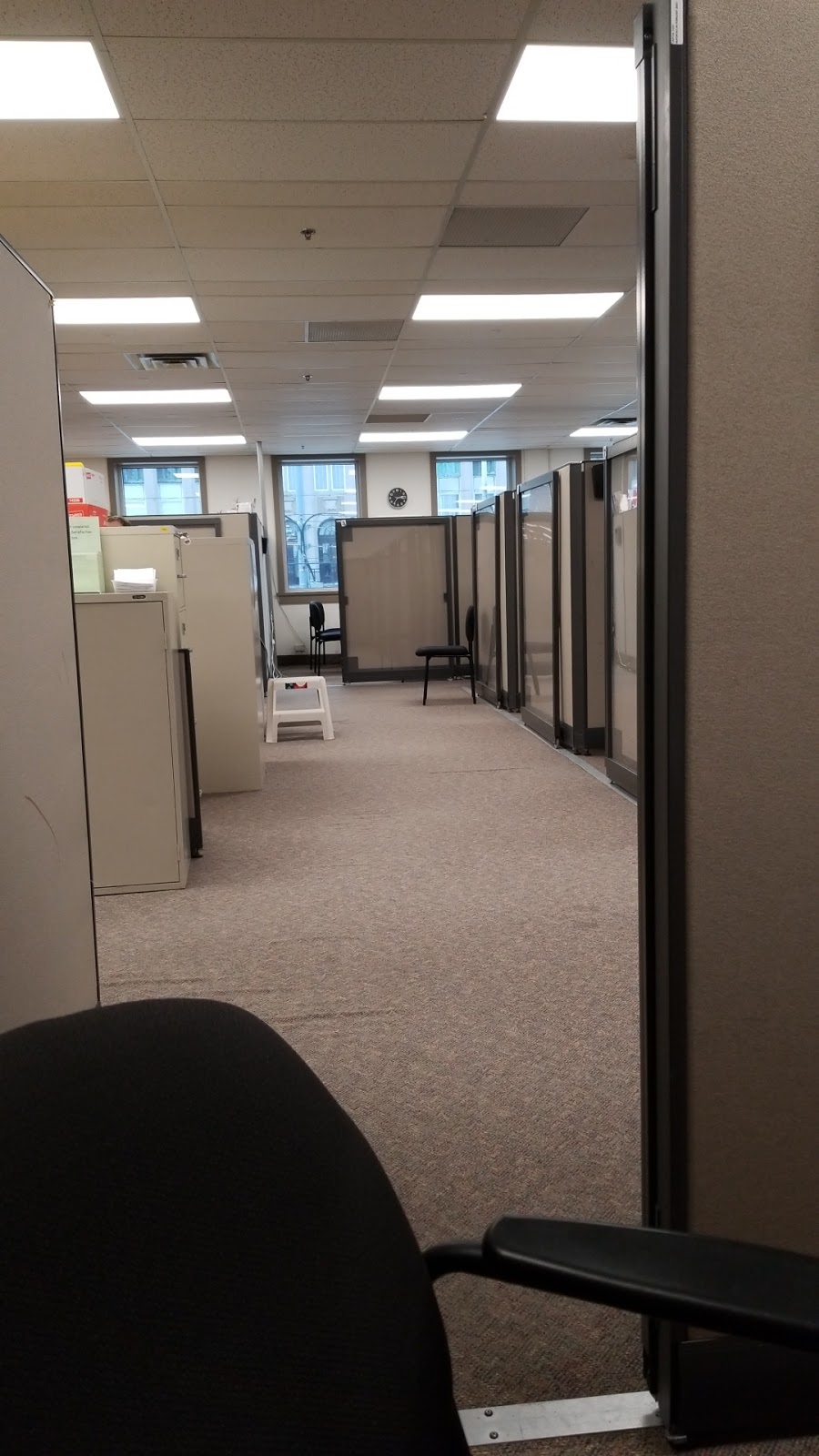 YMCA Immigrant & Employment Services | 800 King St W, Kitchener, ON N2G 1E8, Canada | Phone: (519) 579-9622